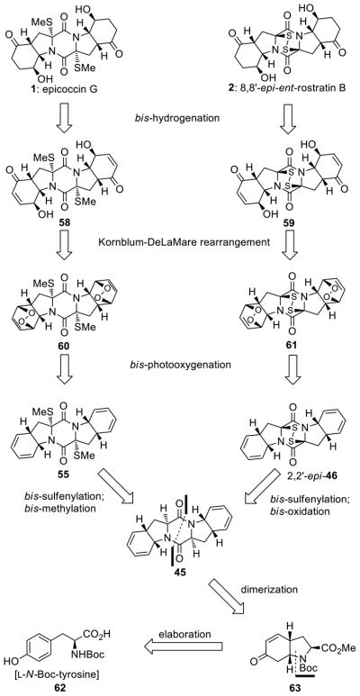 Scheme 4