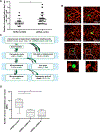 Figure 5: