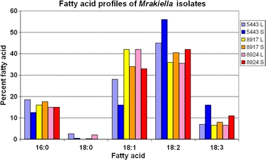 Fig. 4