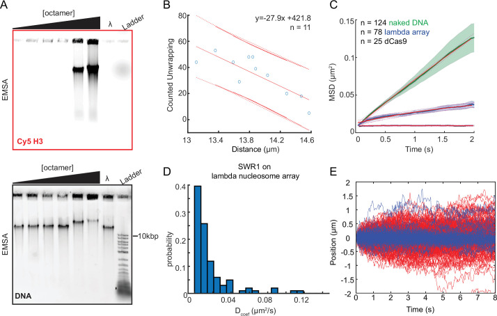 Figure 6—figure supplement 1.