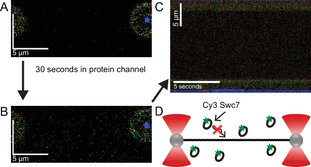 Figure 2—figure supplement 1.