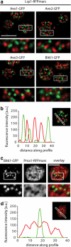 Figure 5.