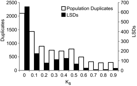 FIG. 2.—