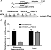 FIG 6