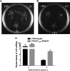 FIG 4