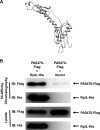 FIG 5