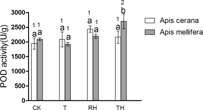 Fig 10