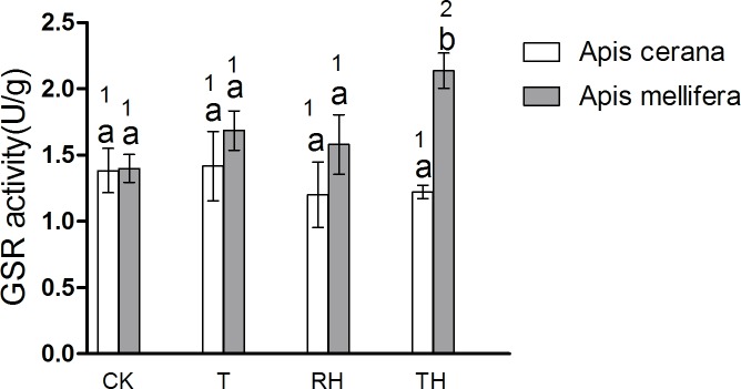 Fig 11