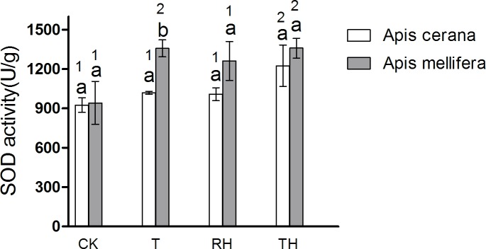 Fig 9