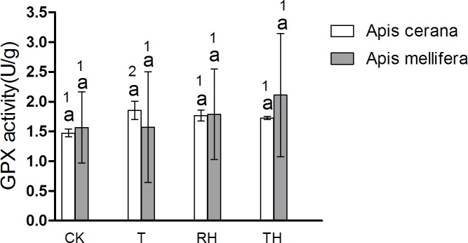 Fig 12