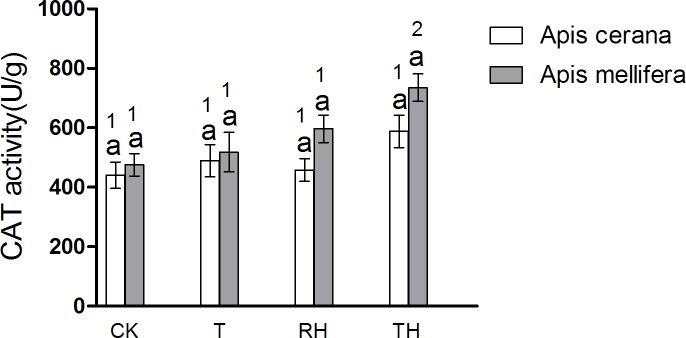 Fig 13