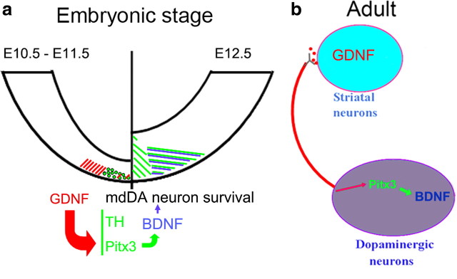 Figure 11.