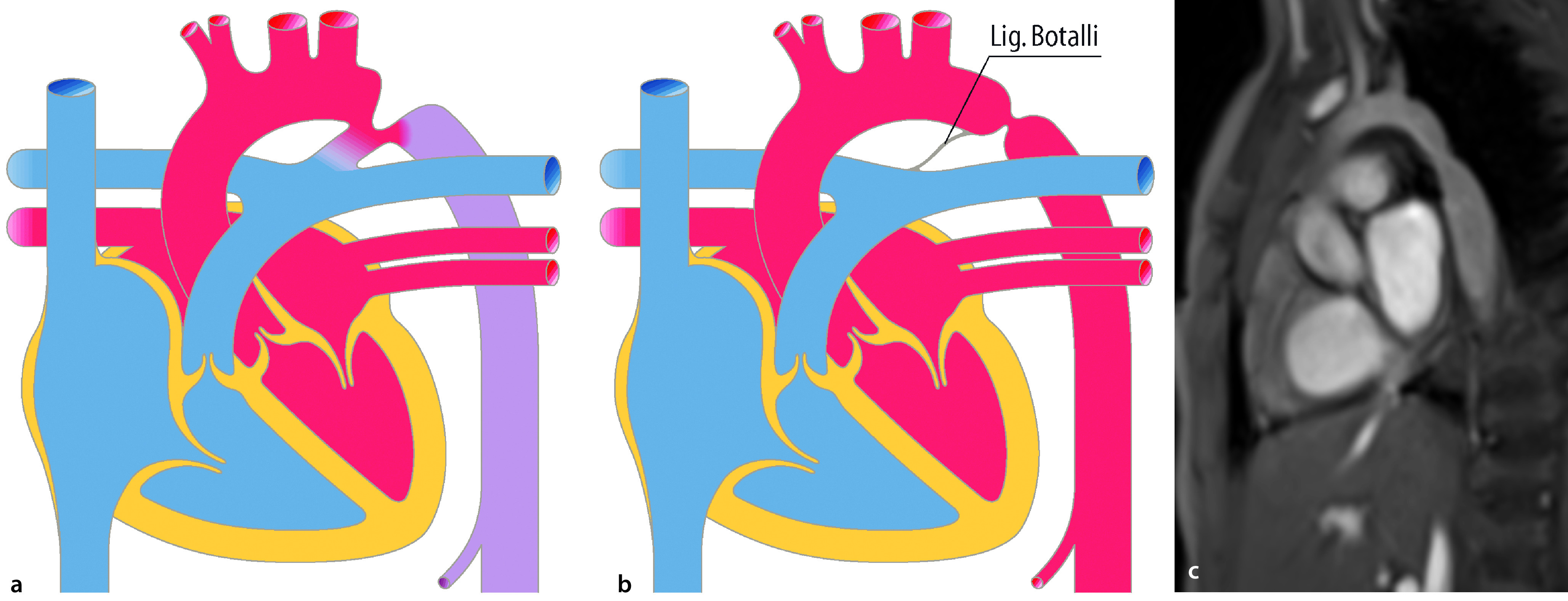 graphic file with name 978-3-662-57295-5_20_Fig7_Print.jpg