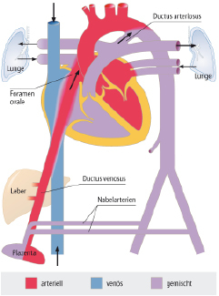 graphic file with name 978-3-662-57295-5_20_Fig1_HTML.jpg