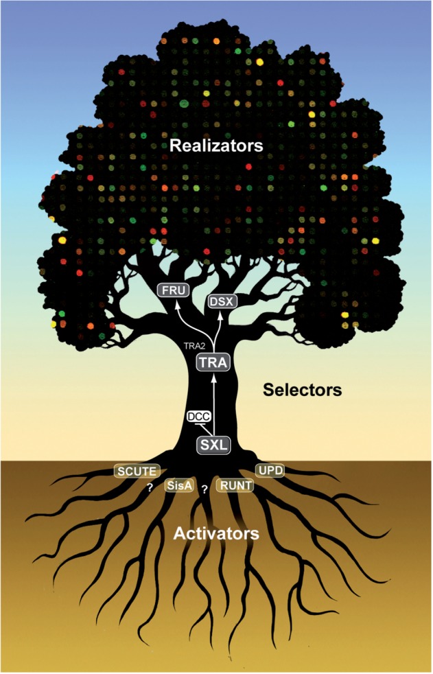 Figure 1: