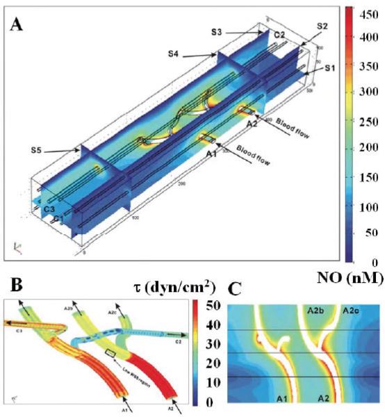 FIGURE 4