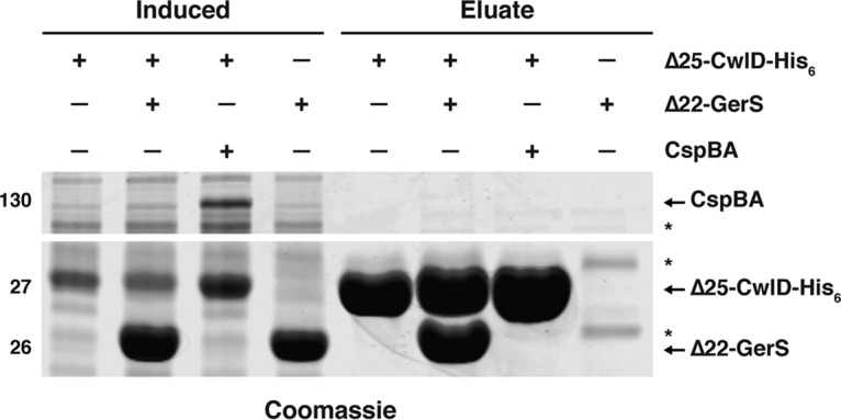 FIG 6 