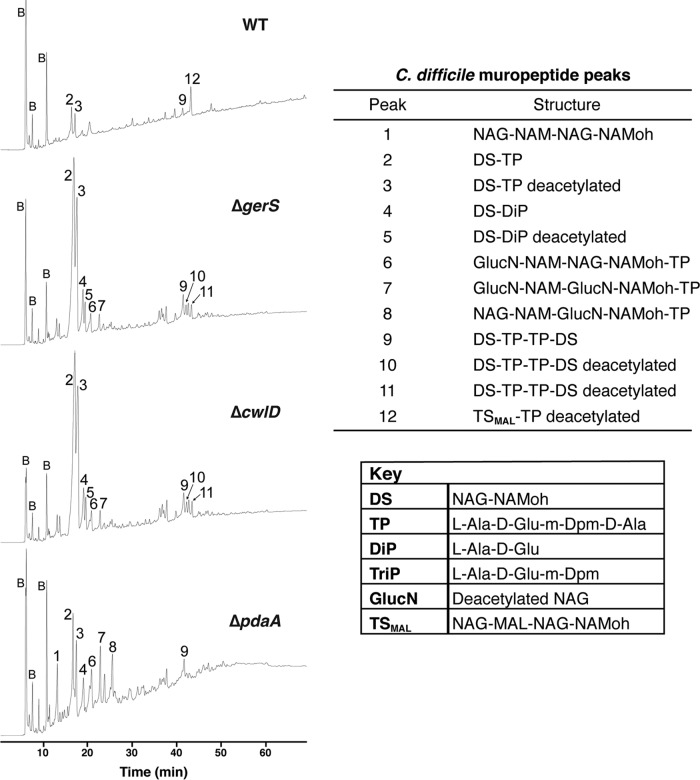 FIG 4 