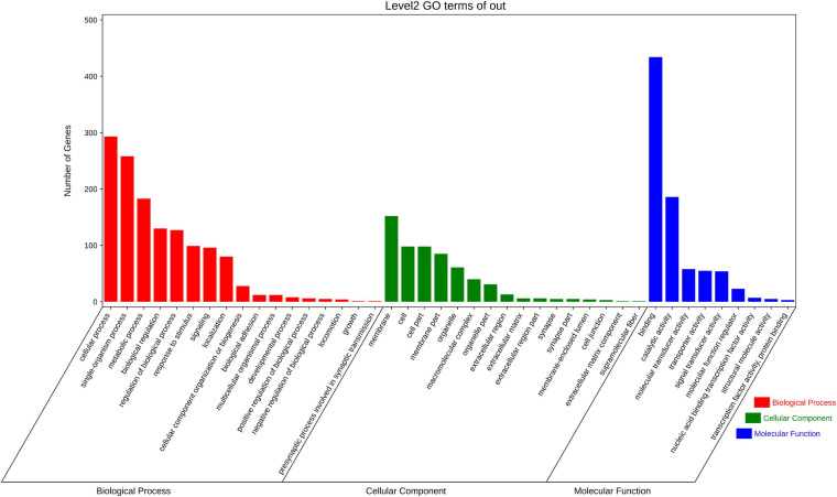 FIGURE 3