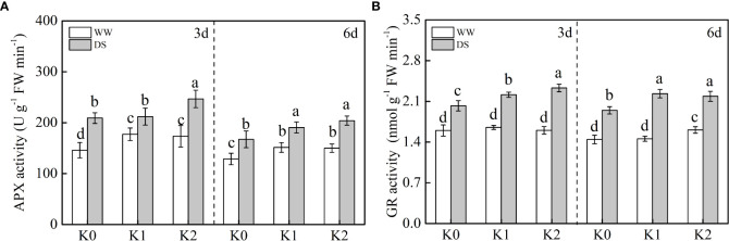 Figure 5