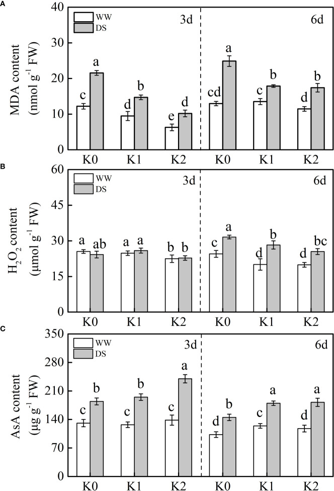 Figure 4