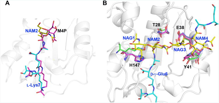 Figure 6