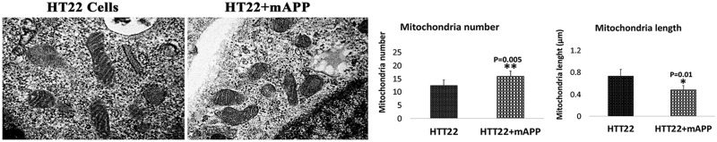 Figure 12.