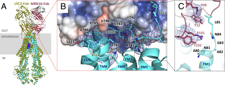 Fig. 3.