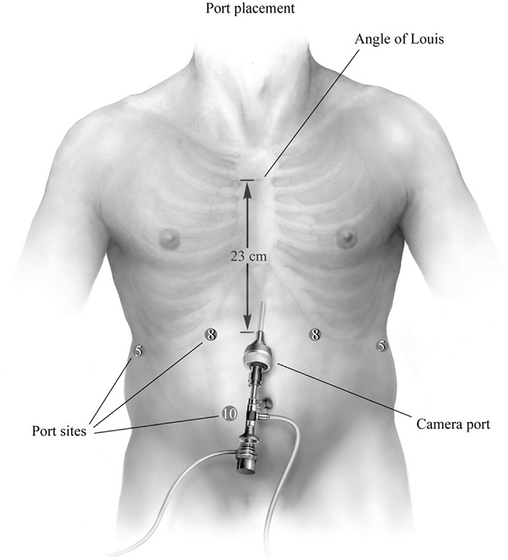 Fig. 2.