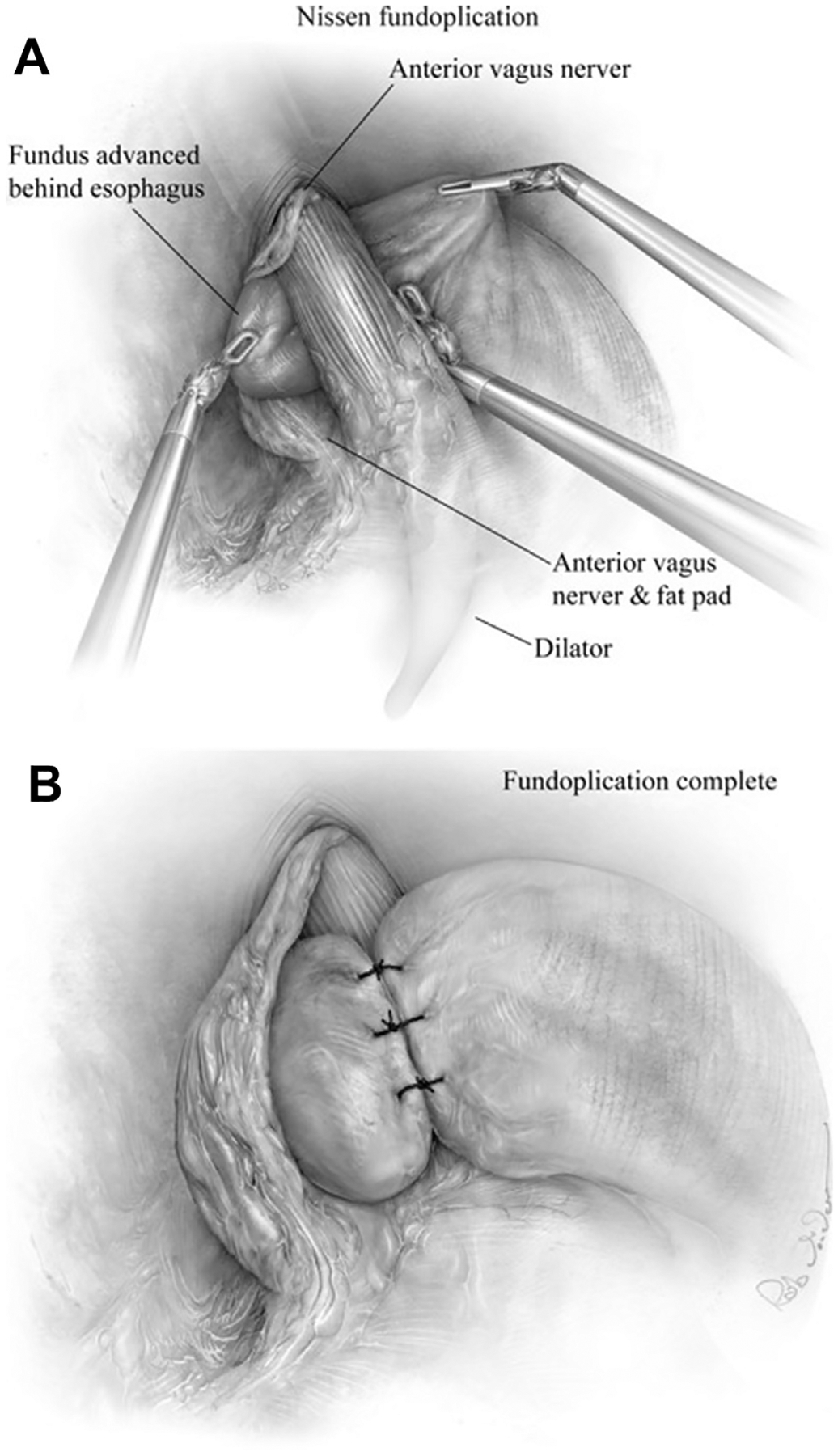 Fig. 8.