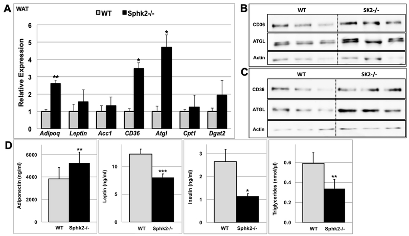 Fig 4.