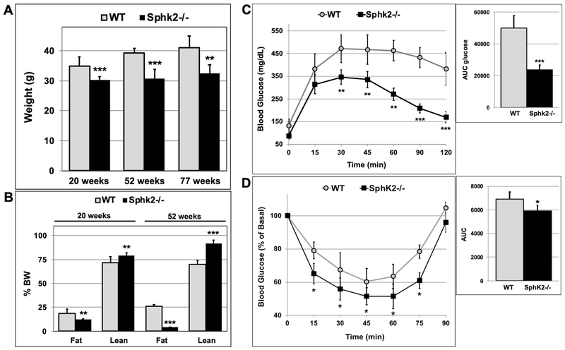 Fig 1.