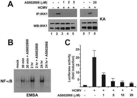 FIG. 2.