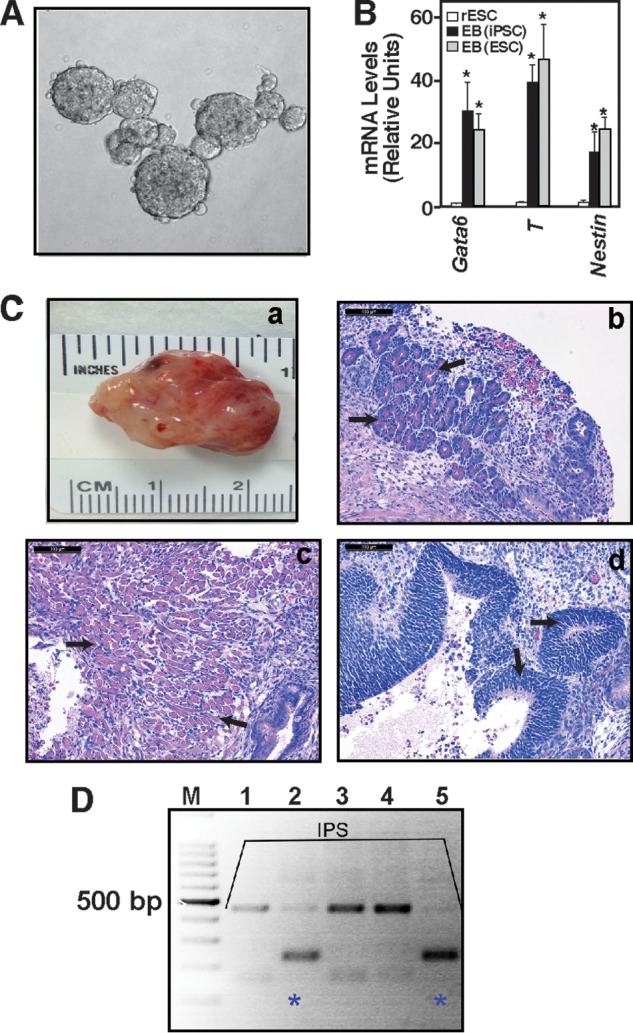 FIGURE 4.