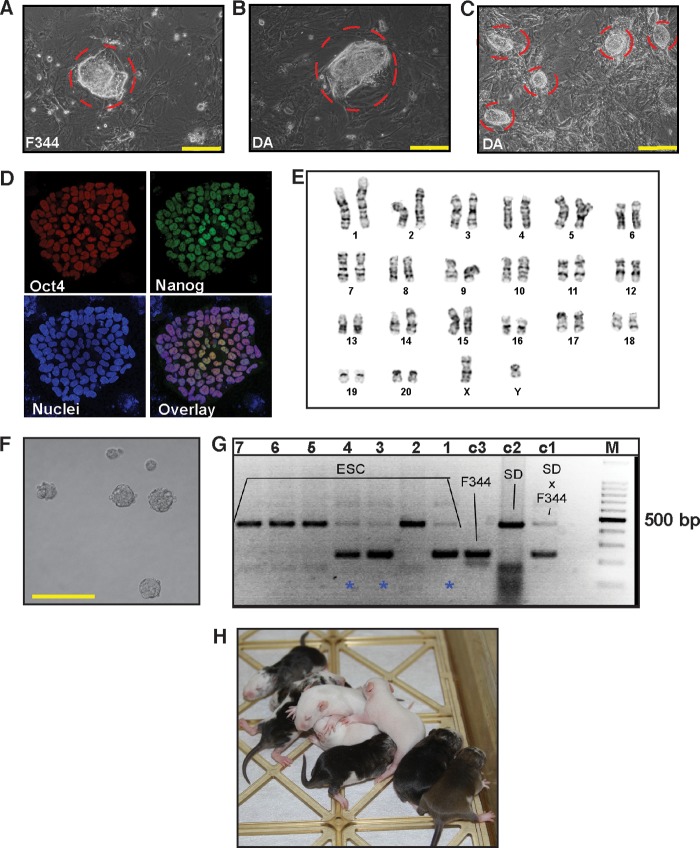 FIGURE 2.