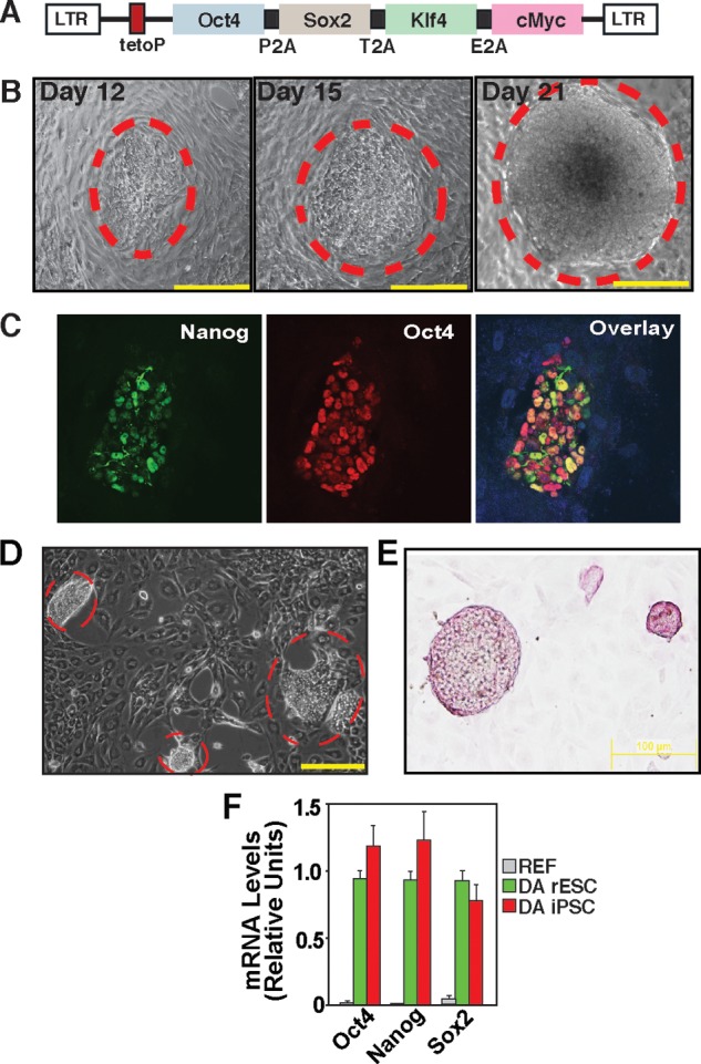 FIGURE 3.