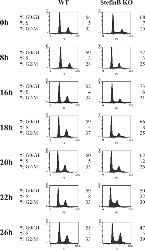 FIGURE 3.