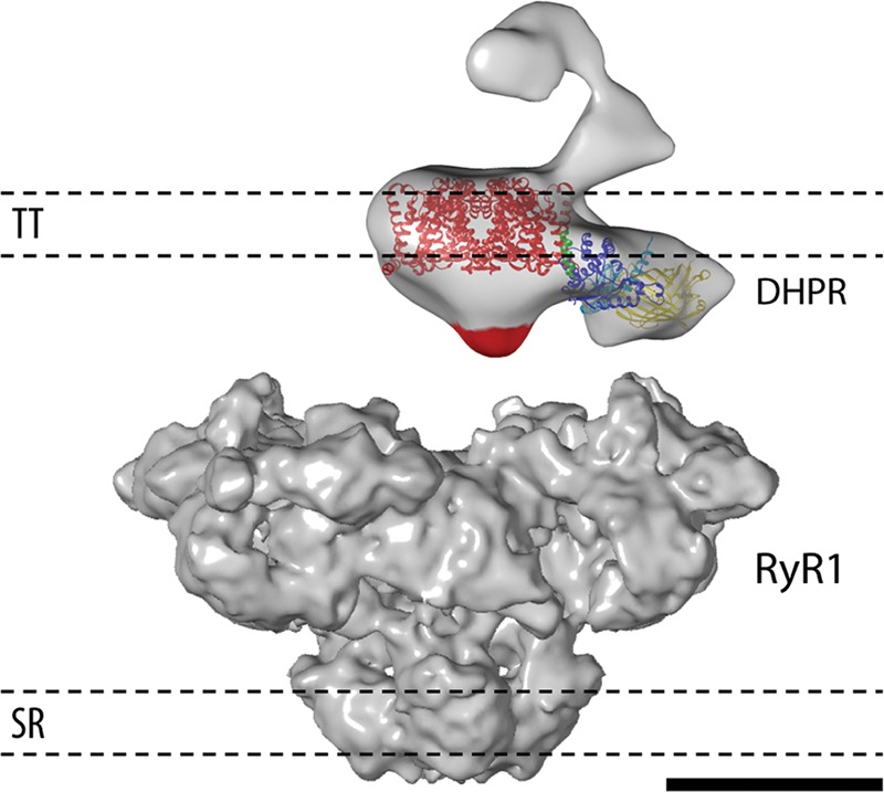 Fig 3.