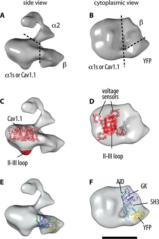 Fig 2.