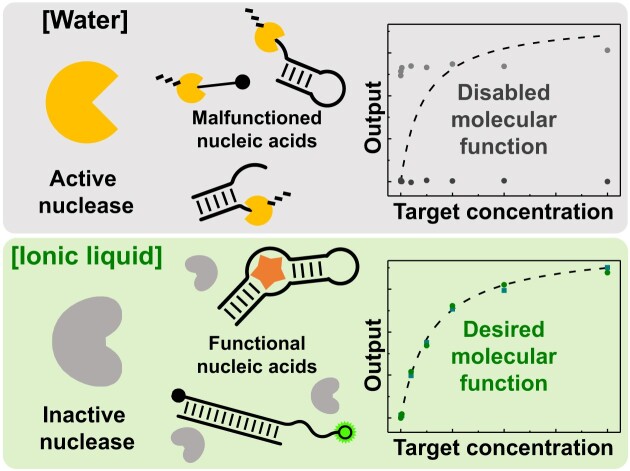 Graphical Abstract