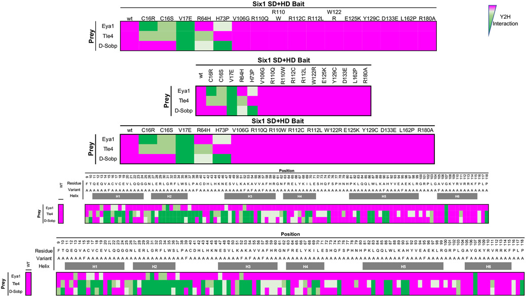Figure 5:
