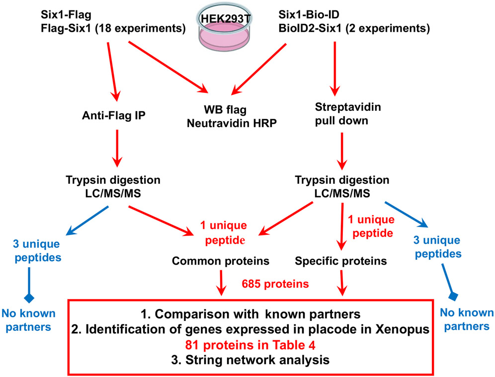 Figure 3: