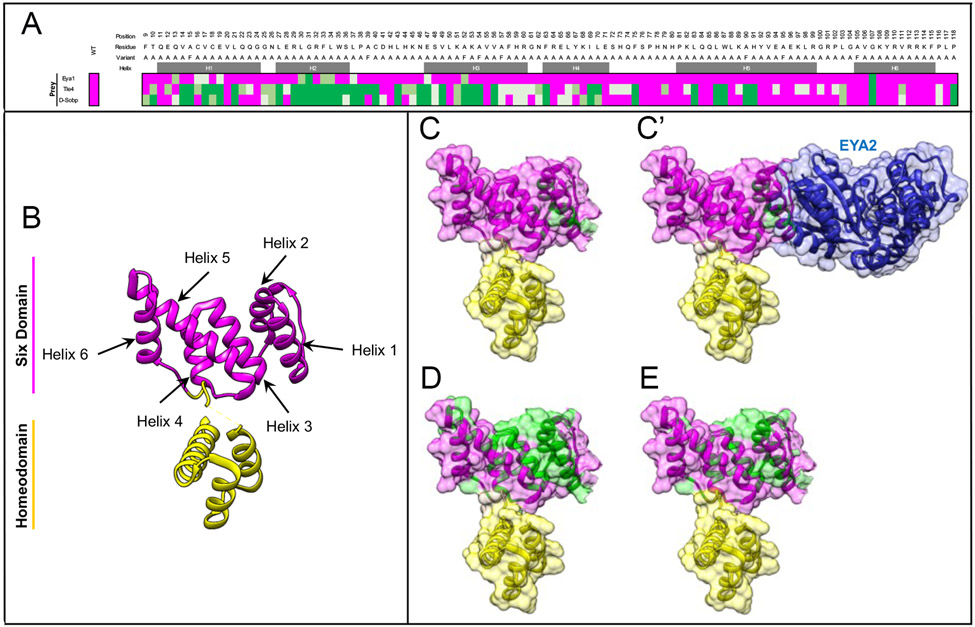 Figure 6: