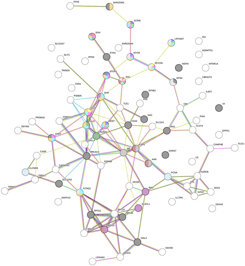 Figure 4: