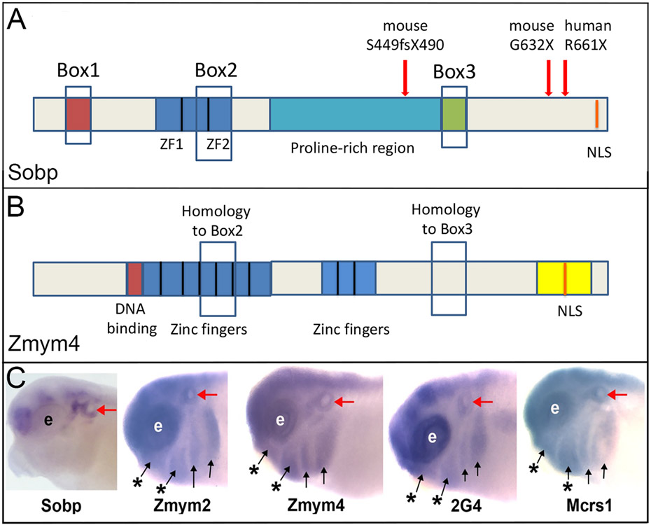 Figure 2: