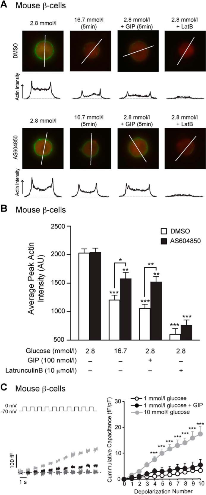 FIGURE 9.