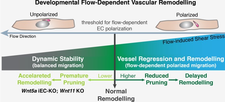 Figure 11.