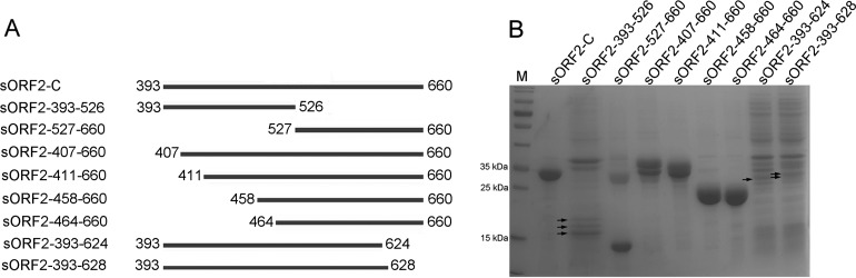 FIG 1