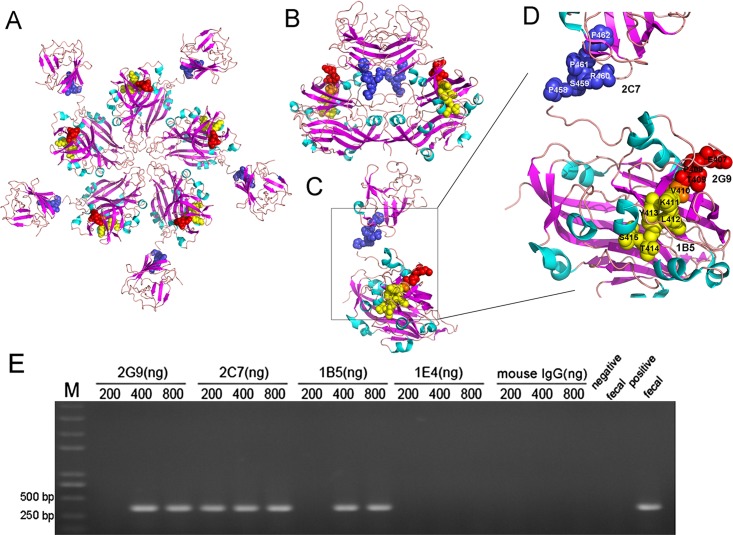 FIG 4