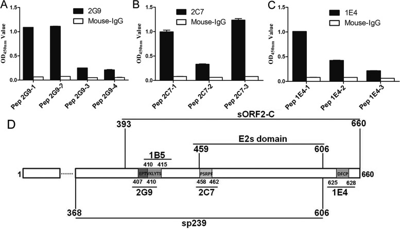 FIG 3